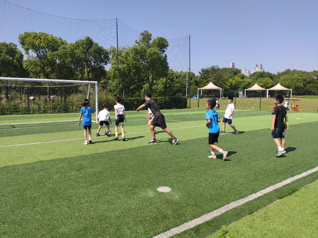 MVIMG_20221003_110622.jpg 图片