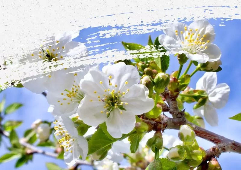 Image 3.jpg Image 3.jpg